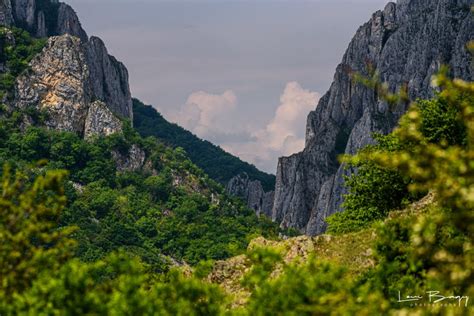 Peisaj spectaculos din Cheile Turzii, cu stânci și vegetație
