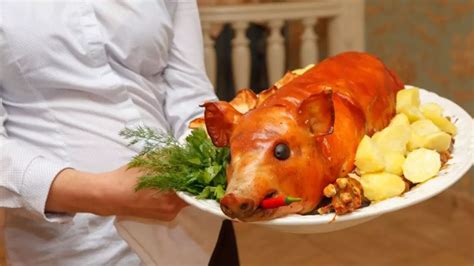 Imagine cu un purcel care consumă lapte dintr-un adăpător automat