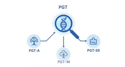 Infografic explicativ despre diferitele tipuri de teste PGT (PGT-A, PGT-M, PGT-SR) și scopul fiecăruia.