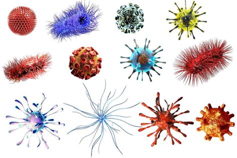 Ilustrație cu diferitele tipuri de agenți patogeni: bacterii, fungi, paraziți.