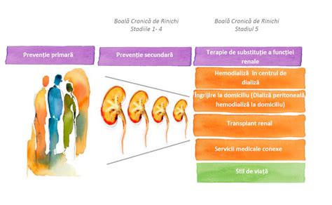 Diagrama etapelor insuficienței renale cronice