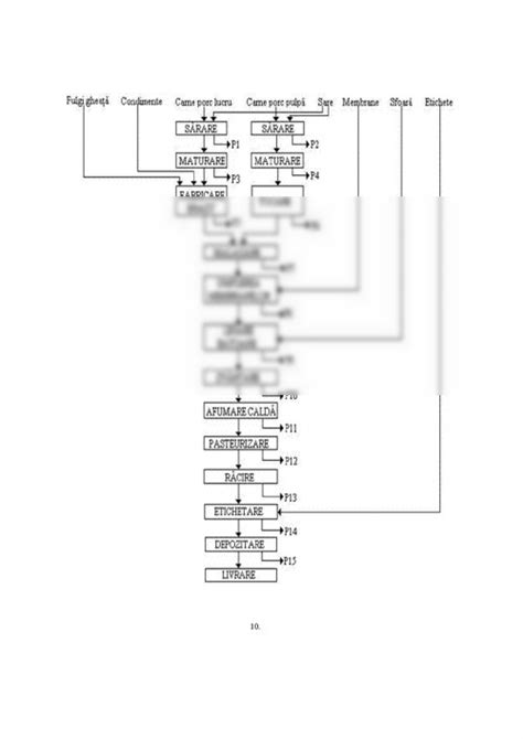 Schema procesului de obținere a jeleului natural din mere, cu accent pe conținutul de pectină din coajă și semințe.