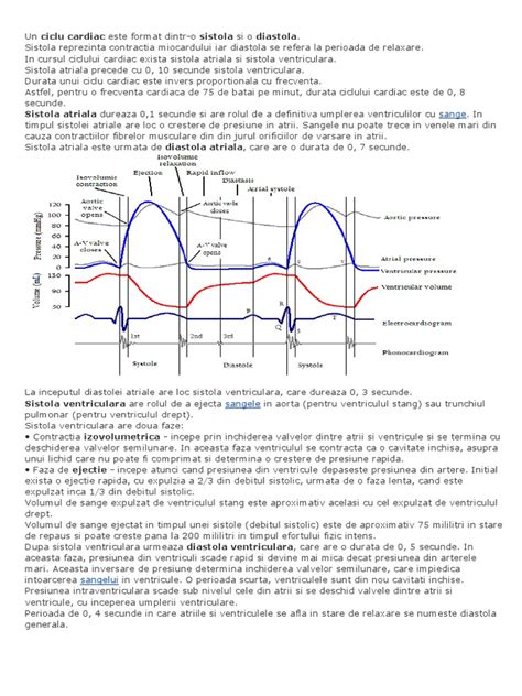 Infografic cu modificările volumului sanguin și debitului cardiac în sarcină