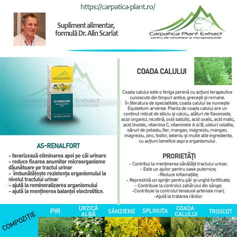 Schema cu principalele ingrediente active din compoziția 