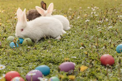 Ilustrații cu elemente specifice primăverii, precum iepurași, ouă decorate și puișori, pentru fișe de lucru destinate copiilor.