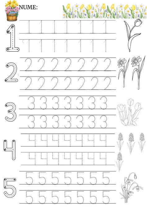 Ilustrație cu omiduțe colorate, numerotate de la 1 la 5, cu plicuri pe spate.