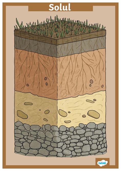 Infografic explicativ despre stratificarea solului și componenta sa (minerale, materie organică, apă, aer, organisme vii)