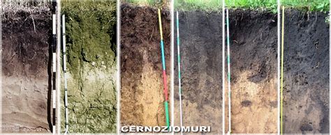 Diagramă comparativă a texturilor solului (nisipos, lutos, argilos, loam) și a proprietăților lor (drenaj, retenție apă, fertilitate)