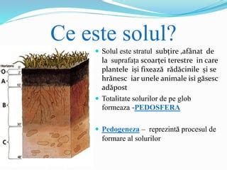 Ilustrație a structurii solului, evidențiind agregatele, porii capilari și necapilari