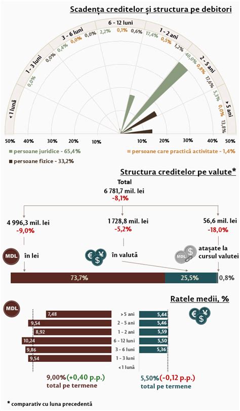 infografic prezentând evoluția carierei Deliei Florea