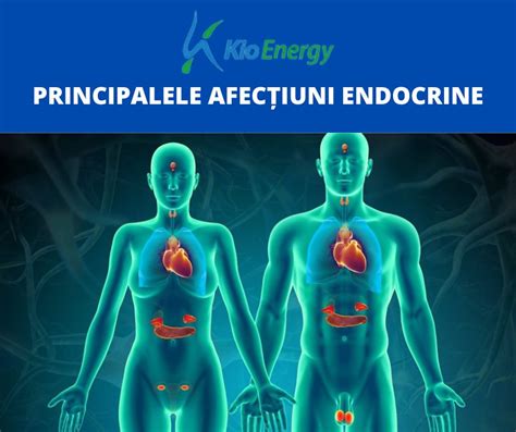 Infografic cu cele mai comune afecțiuni ginecologice și simptomele lor.