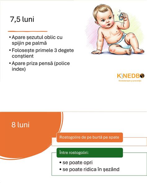infografic cu pașii corecți de aplicare a unui scutec pentru adulți