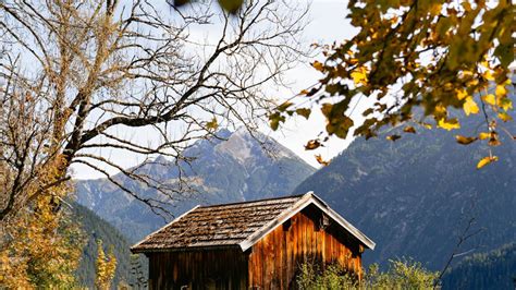 infografic explicând cum se încălzește și se răcește saculețul cu sâmburi de cireșe