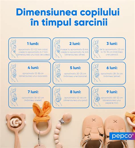 Infografic explicativ al sarcinii anembrionare, comparând-o cu o sarcină normală