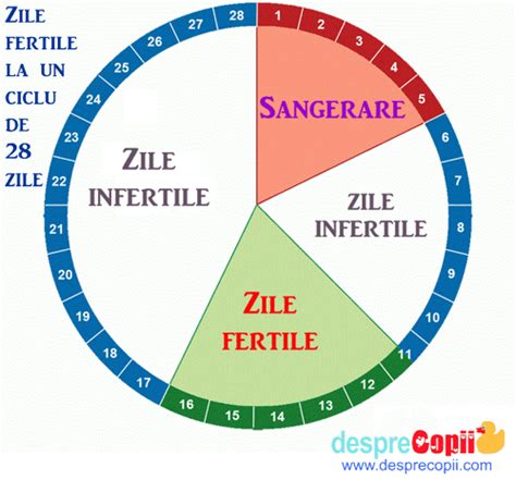 Captură de ecran a unei aplicații de calendar menstrual, afișând zile fertile, ovulație și menstruație