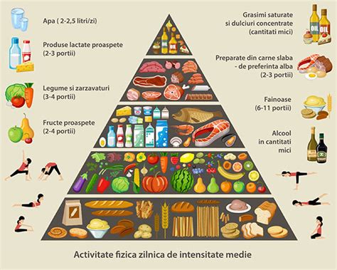 Infografic cu piramida alimentară și exemple de meniuri echilibrate