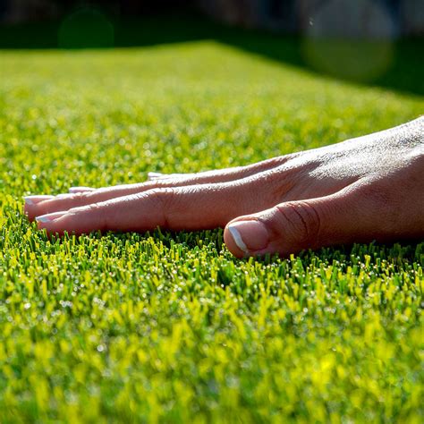 Procesul de montare a gazonului sintetic și aplicare a nisipului