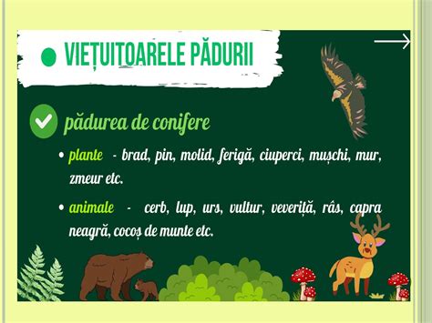 Infografic despre durata de viață a spermatozoizilor în diferite medii