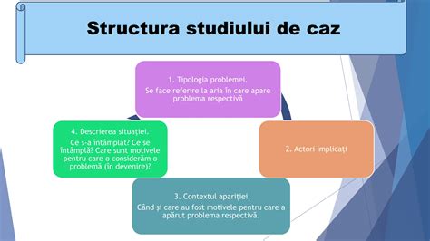 Structura unui studiu de fezabilitate