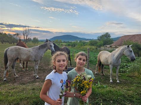 Ilustrație grafică a procesului de leasing auto, cu accent pe rolurile finanțatorului și utilizatorului.