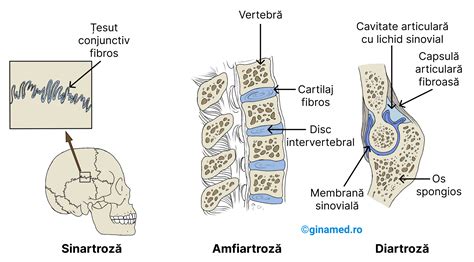 schemă simplificată a dispunerii cărămizilor cu goluri și a rosturilor de mortar
