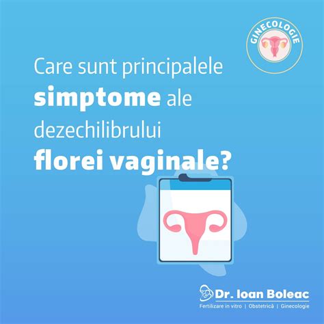 Ilustrație a florei vaginale normale și a dezechilibrului cauzat de candidoză.