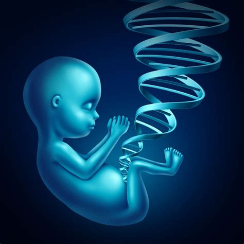 infografic explicativ despre ADN fetal liber circulant (cfDNA)