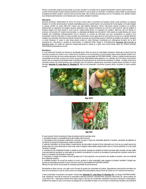 infografic cu temperaturile optime pentru legarea fructelor la vinete