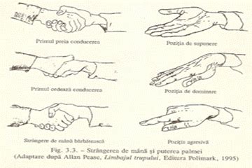 o imagine simbolică a mâinilor unui adult și ale unui nou-născut