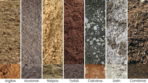 Ilustrație a diferitelor tipuri de soluri: nisipos, argilos, lutos, negru