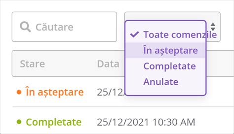 Interfața de căutare avansată cu opțiuni de filtrare