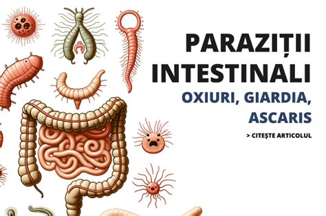 Ilustrație a diferitelor tipuri de paraziți intestinali (helminti și protozoare)
