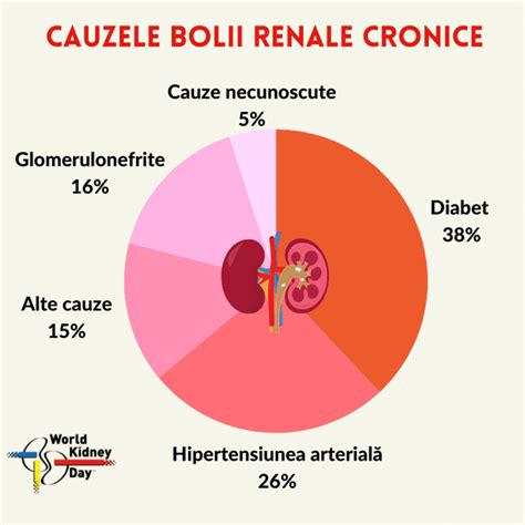 Infografic explicativ despre cauzele și simptomele colicii renale