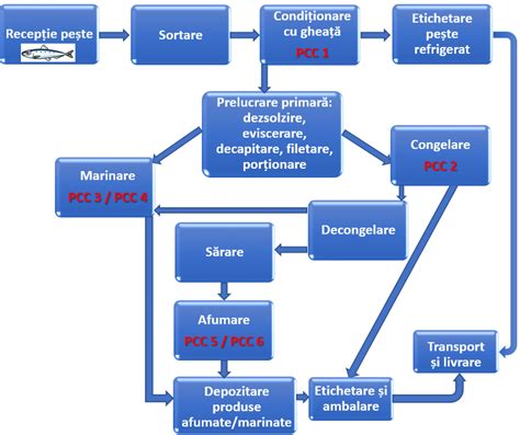 Schema fluxului de triaj la camera de gardă