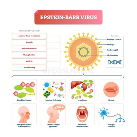 Ilustrație medicală a virusului rubeolic