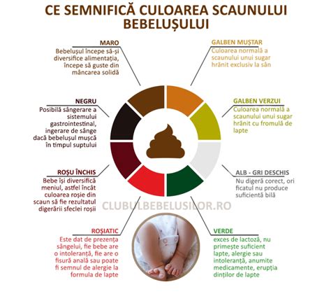 Diagramă ilustrând diferitele culori și consistențe normale ale scaunului la bebeluși, de la meconiu la scaunul după diversificare.