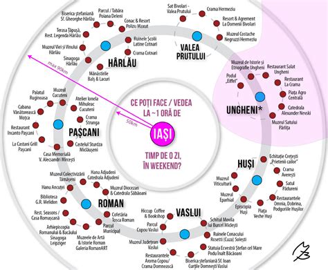 Infografică cu traduceri comune ale cuvântului 