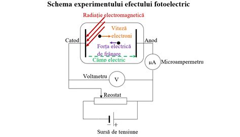 Ilustrație a polarizării unui dielectric sub acțiunea unui câmp electric extern.