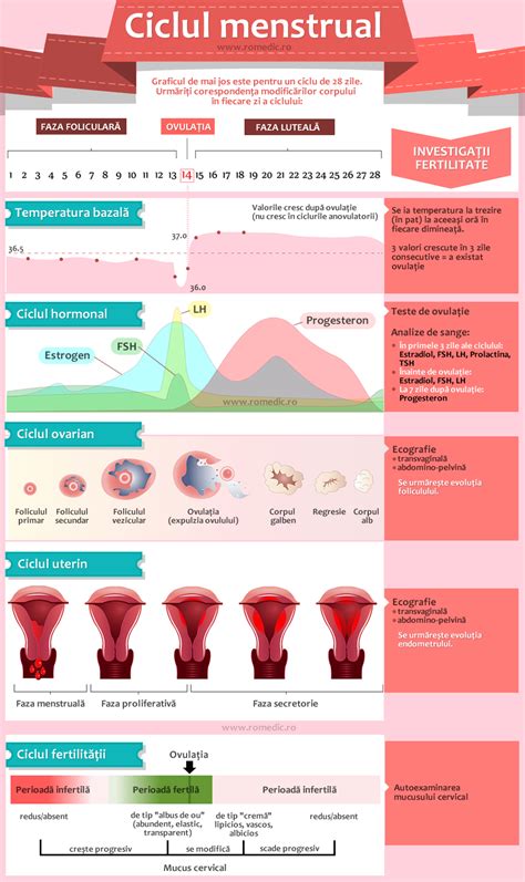 Infografic explicativ despre mecanismul de acțiune al pastilelor anticoncepționale (inhibarea ovulației, îngroșarea mucusului cervical, modificarea mucoasei uterine).