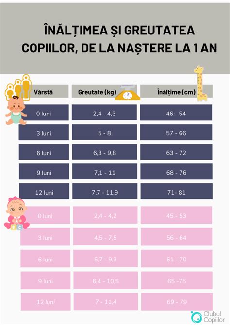 Infografic cu dimensiunile și greutatea bebelușului la 29 de săptămâni de sarcină, comparativ cu un obiect uzual.