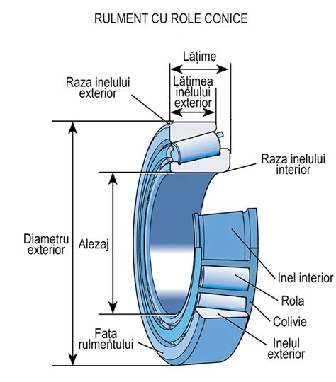 Diagramă a unui rulment cu role conice, evidențiind conul (inel interior), cupa (inel exterior), rolele și colivia.