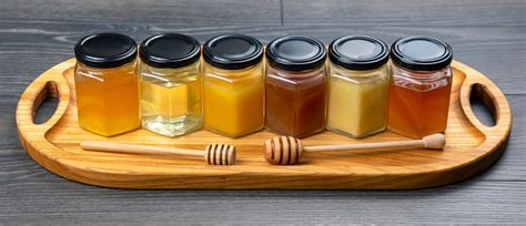 infografic cu diferitele tipuri de premergătoare și beneficiile fiecăruia