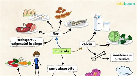 Diagramă cu etapele diversificării alimentare și alimentele potrivite