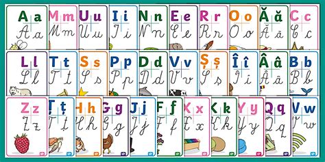 Infografic cu literele TORCH și iconițe reprezentând bolile incluse