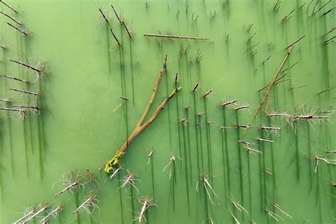 fotografie a medicului Gheorghe Popa