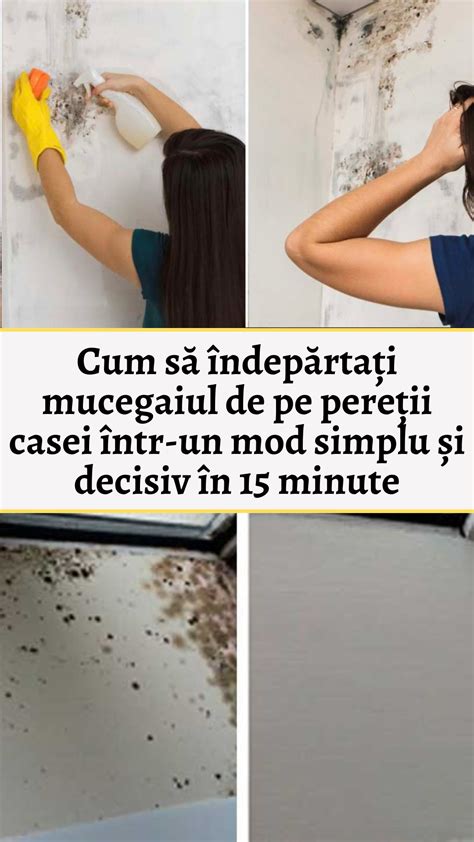 gândaci pe pereții unei clinici