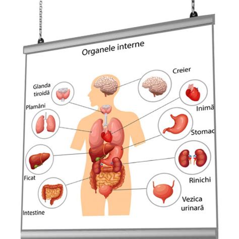 Ilustratie cu pozitionarea sigura a patutului in camera