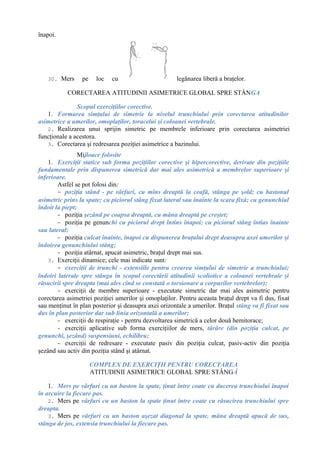 Diagrama explicativă a tehnicii 