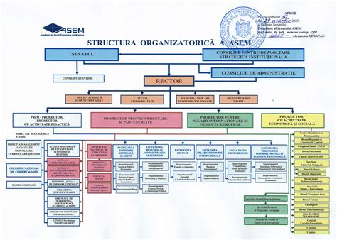 grafic cu structura organizatorică a serviciilor de protecție a copilului