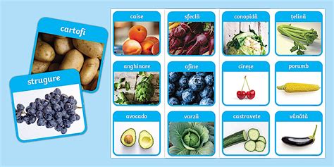 ilustrație cu fructe și legume proaspete